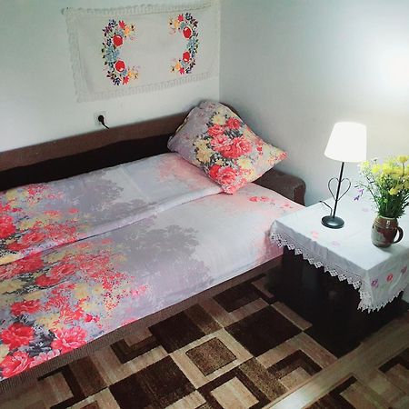 Etno Domacinstvo Saponjic Hotel Nova Varoš Buitenkant foto